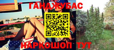 PSILOCYBIN Будённовск