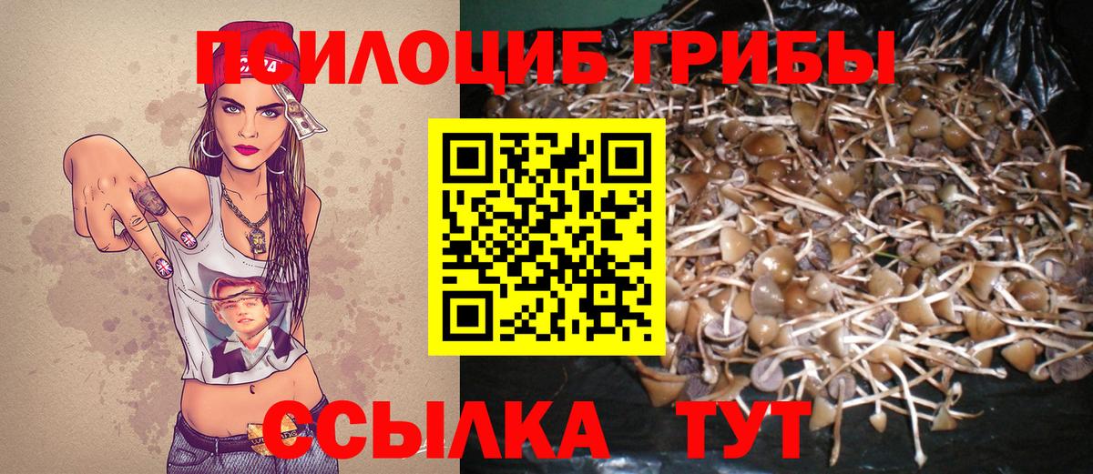 Галлюциногенные грибы Cubensis  Псилоцибиновые грибы мицелий  Снежинск  Вход с VPN 